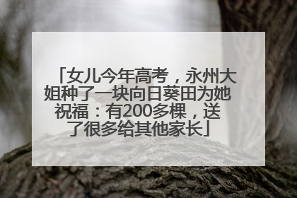 女儿今年高考，永州大姐种了一块向日葵田为她祝福：有200多棵，送了很多给其他家长