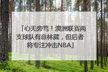 心无旁骛！澳洲联赛两支球队有意林葳，但后者将专注冲击NBA