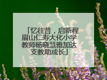 忆往昔，启新程眉山仁寿大化小学教师杨晓慧雅加达支教助成长
