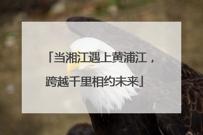 当湘江遇上黄浦江，跨越千里相约未来