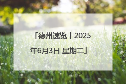 德州速览丨2025年6月3日 星期二