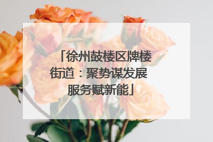 徐州鼓楼区牌楼街道：聚势谋发展 服务赋新能