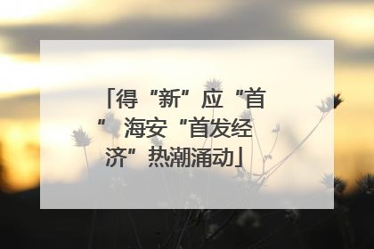 得“新”应“首” 海安“首发经济”热潮涌动