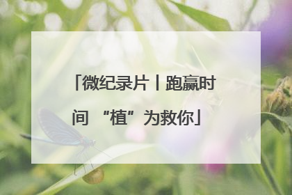 微纪录片丨跑赢时间 “植”为救你
