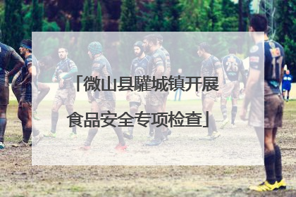 微山县驩城镇开展食品安全专项检查