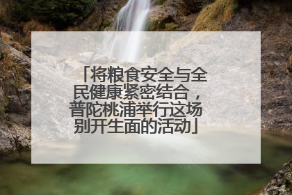 将粮食安全与全民健康紧密结合，普陀桃浦举行这场别开生面的活动