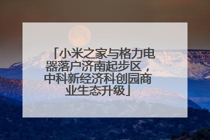小米之家与格力电器落户济南起步区，中科新经济科创园商业生态升级