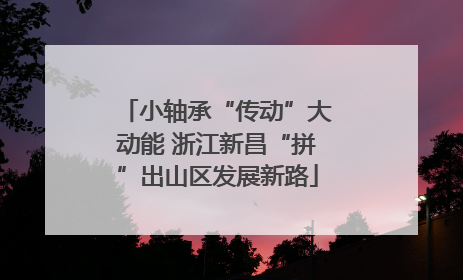 小轴承“传动”大动能 浙江新昌“拼”出山区发展新路