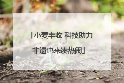 小麦丰收 科技助力 非遗也来凑热闹