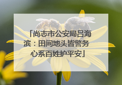 尚志市公安局吕海滨：田间地头皆警务 心系百姓护平安