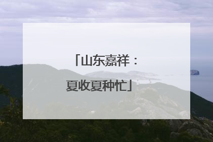 山东嘉祥：夏收夏种忙