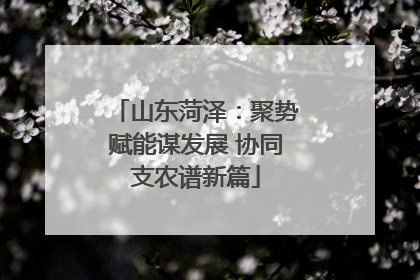 山东菏泽：聚势赋能谋发展 协同支农谱新篇