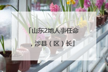 山东2地人事任命，涉县（区）长