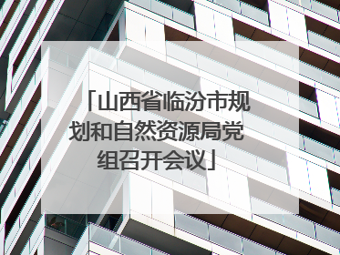 山西省临汾市规划和自然资源局党组召开会议