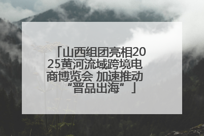 山西组团亮相2025黄河流域跨境电商博览会 加速推动“晋品出海”