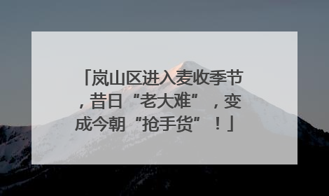 岚山区进入麦收季节，昔日“老大难”，变成今朝“抢手货”！
