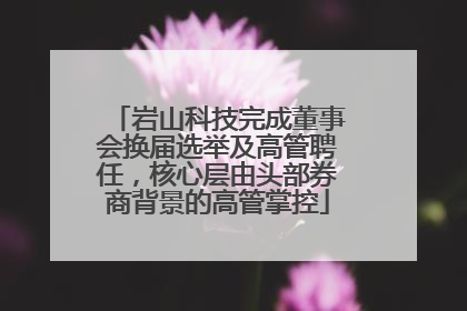 岩山科技完成董事会换届选举及高管聘任，核心层由头部券商背景的高管掌控