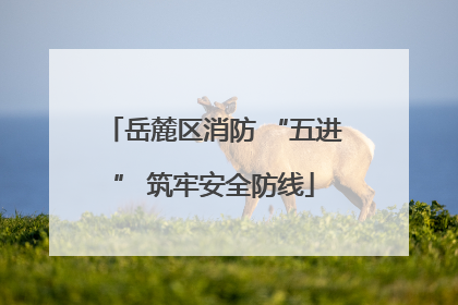 岳麓区消防 “五进” 筑牢安全防线