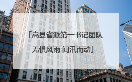 嵩县省派第一书记团队 无惧风雨 闻汛而动