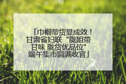 巾帼带货显成效！甘肃省妇联“陇姐带甘味 陇货优品位”端午集市圆满收官