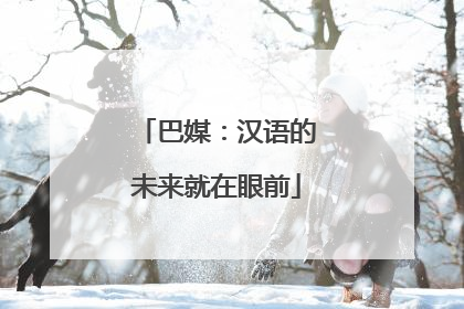 巴媒：汉语的未来就在眼前