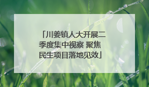 川姜镇人大开展二季度集中视察 聚焦民生项目落地见效