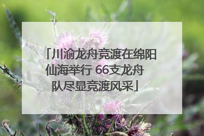 川渝龙舟竞渡在绵阳仙海举行 66支龙舟队尽显竞渡风采