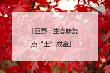 巨野：生态修复点“土”成金