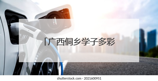 广西侗乡学子多彩活动庆“六一”