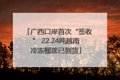 广西口岸首次“签收” 22.24吨越南冷冻榴莲已到货