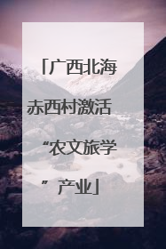 广西北海赤西村激活“农文旅学”产业