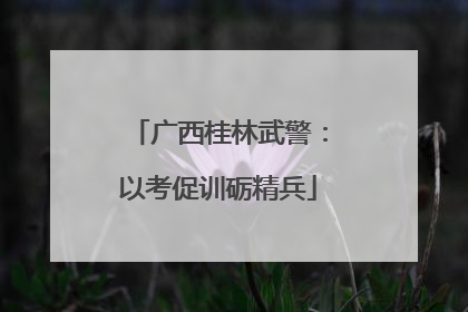 广西桂林武警：以考促训砺精兵