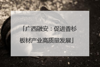 广西融安：促进香杉板材产业高质量发展