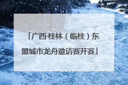 广西·桂林（临桂）东盟城市龙舟邀请赛开赛