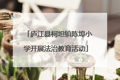 庐江县柯坦镇陈埠小学开展法治教育活动