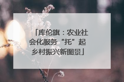 库伦旗：农业社会化服务“托”起乡村振兴新图景