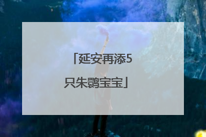 延安再添5只朱鹮宝宝