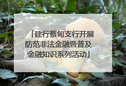 建行蔡甸支行开展防范非法金融暨普及金融知识系列活动