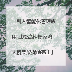 引入智能化管理应用 武松高速杨家湾大桥架梁提前完工