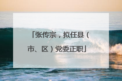 张传宗，拟任县（市、区）党委正职