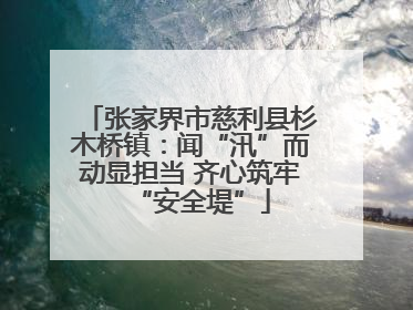 张家界市慈利县杉木桥镇：闻“汛”而动显担当 齐心筑牢“安全堤”