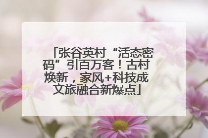 张谷英村“活态密码”引百万客！古村焕新，家风+科技成文旅融合新爆点