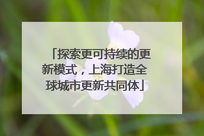 探索更可持续的更新模式，上海打造全球城市更新共同体