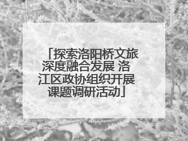 探索洛阳桥文旅深度融合发展 洛江区政协组织开展课题调研活动