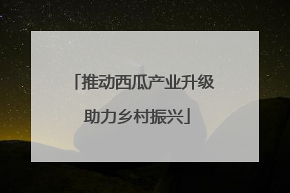 推动西瓜产业升级 助力乡村振兴