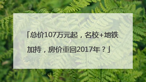 总价107万元起，名校+地铁加持，房价重回2017年？