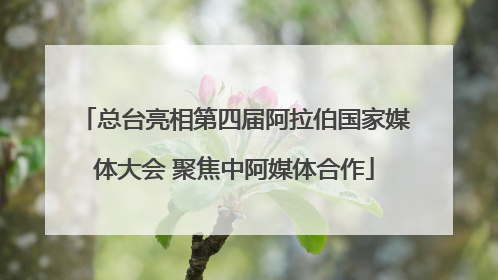 总台亮相第四届阿拉伯国家媒体大会 聚焦中阿媒体合作