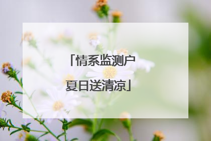 情系监测户 夏日送清凉