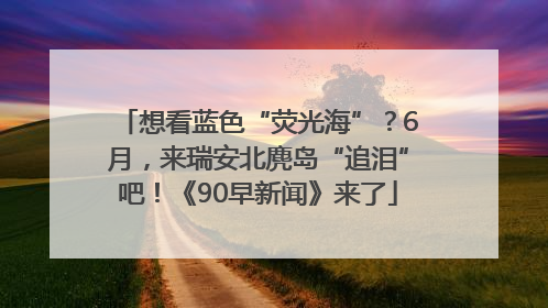 想看蓝色“荧光海”？6月，来瑞安北麂岛“追泪”吧！《90早新闻》来了