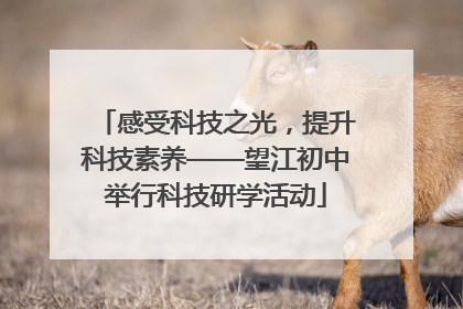 感受科技之光，提升科技素养——望江初中举行科技研学活动